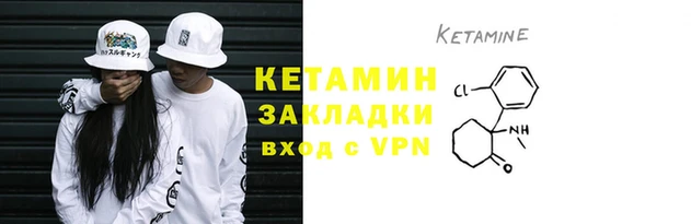 трава Балахна