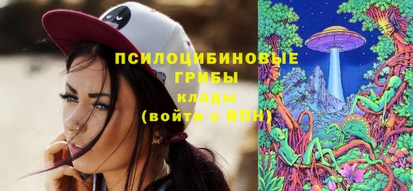 хмурый Балабаново