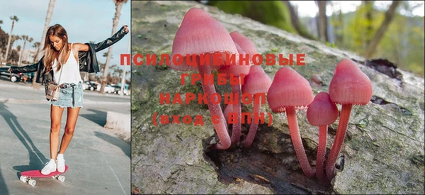 трава Балахна
