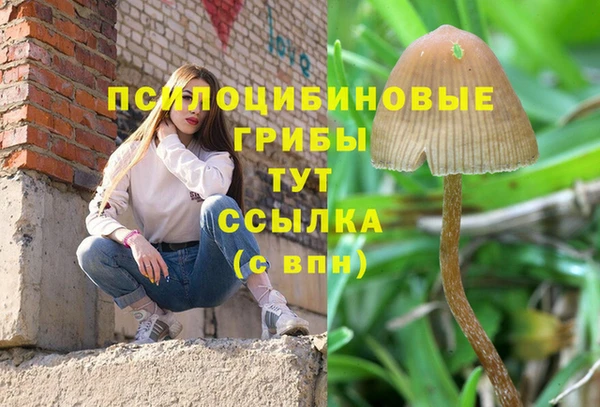 трава Балахна