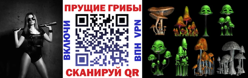 KRAKEN ССЫЛКА  Печора  Галлюциногенные грибы Cubensis 